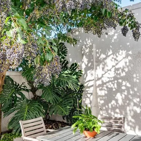 Enchanting Abode In Rosebank Cape Town Exterior photo