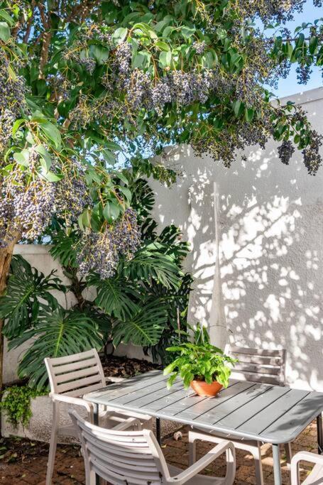Apartment Enchanting Abode In Rosebank *